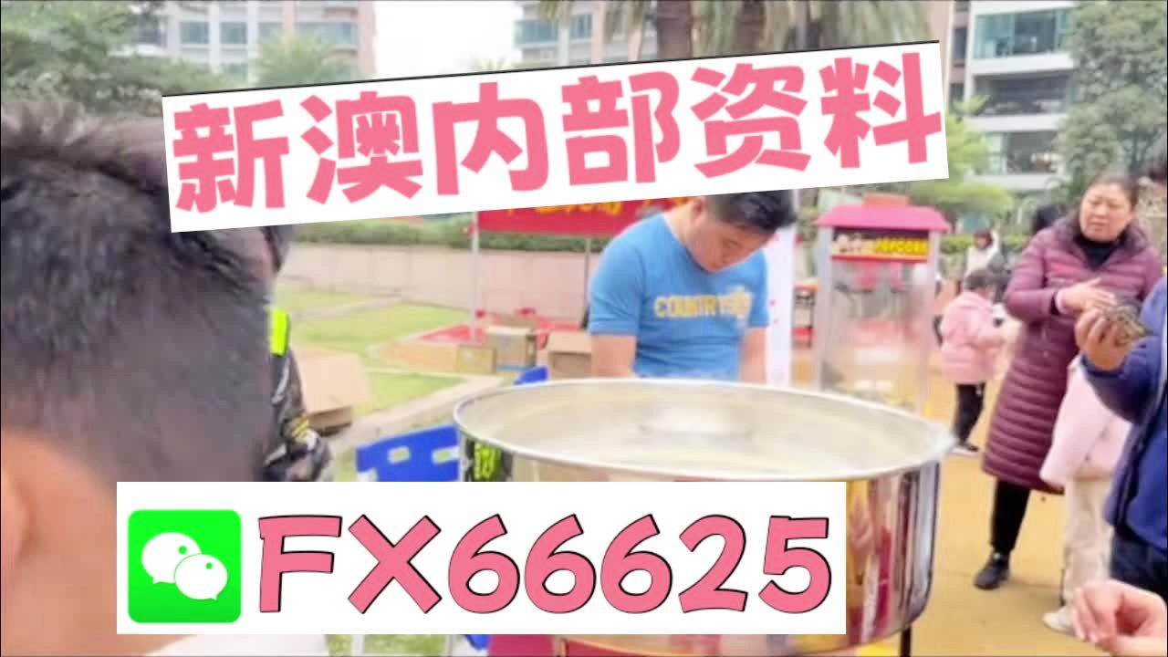 新奧2025資料大全最新版本，全面解析與深度洞察，新奧2025資料大全最新版，全面解析與深度洞察報告