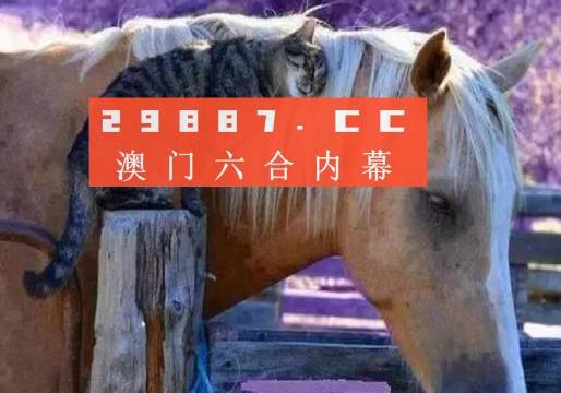 澳門(mén)一肖一碼一待一中四不像，探索與解析，澳門(mén)一肖一碼一待一中四不像，深度解析與探索