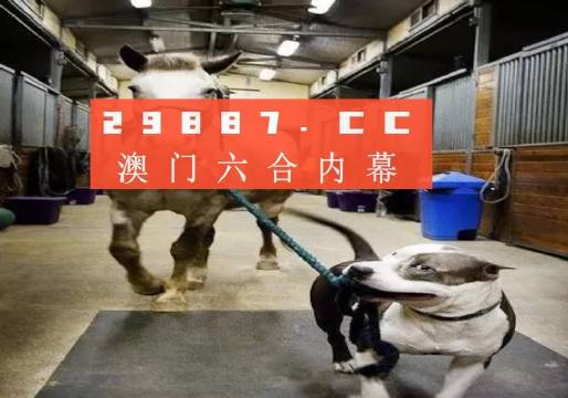 澳門一肖一碼一必中一肖，同舟前進(jìn)的奧秘與策略，澳門一肖一碼必中策略與前進(jìn)奧秘，同舟共濟(jì)的揭秘與策略