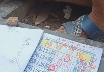 香港中特期期準(zhǔn)資料，深度解析與探索，香港中特期期準(zhǔn)資料深度解析與探索報告