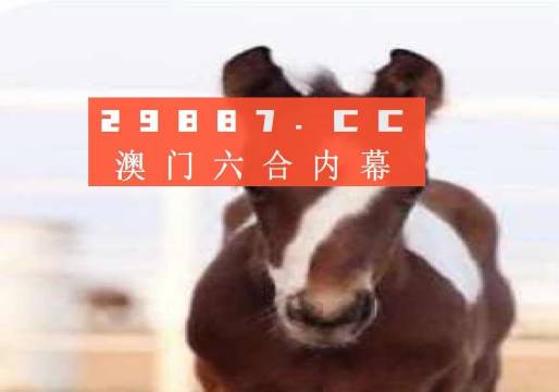 澳門一肖一碼狀元紅，揭秘彩票背后的秘密與策略，澳門彩票揭秘，狀元紅背后的秘密與策略解析