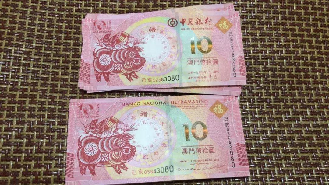 新澳門生肖走勢圖，深度解析與預(yù)測，澳門生肖走勢圖深度解析及預(yù)測報告