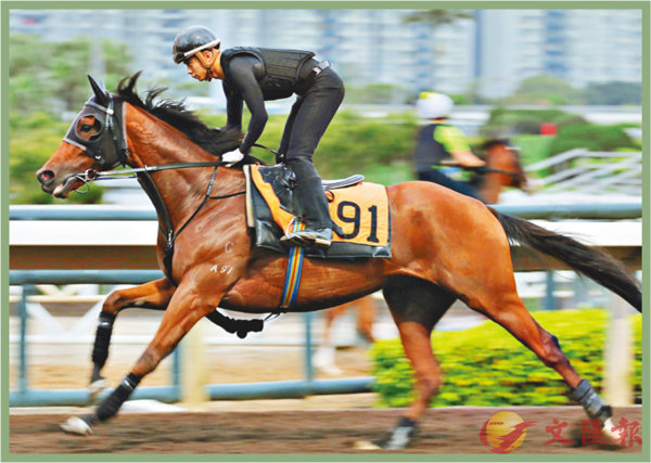 香港賽馬，探索數(shù)字背后的激情與榮耀，香港賽馬，數(shù)字背后的激情與榮耀之旅