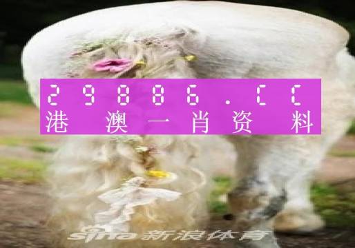 澳門羊了個(gè)羊與各大圖庫的資料揭秘，2023年澳門今晚必中一肖一碼永久免費(fèi)資料庫大解密，澳門羊了個(gè)羊與資料庫揭秘，2023年必中一肖一碼永久免費(fèi)資料大解密