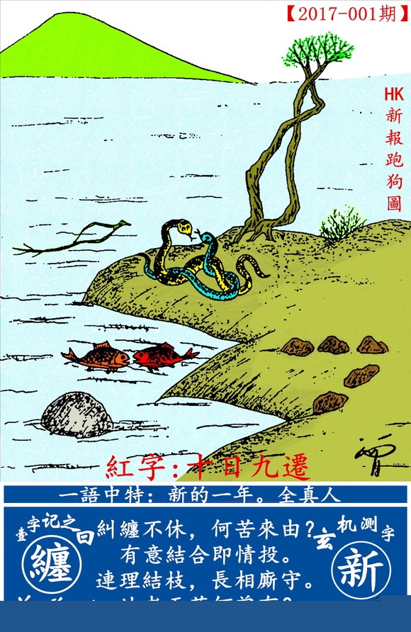 探索全新版跑狗圖，7777788888的魅力與策略，探索全新版跑狗圖，7777788888的魅力與攻略解析