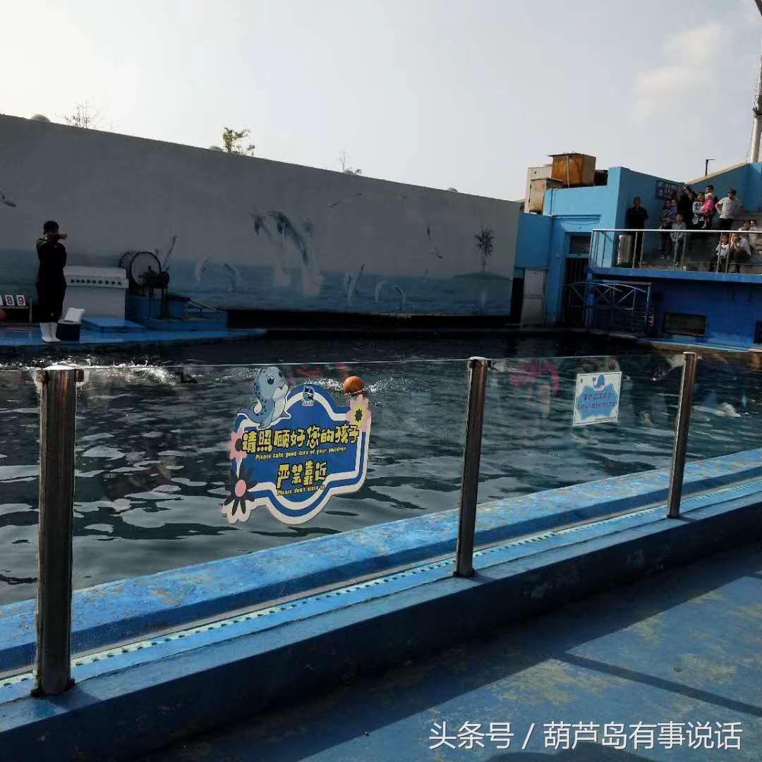 揭秘9點30分彩新澳，全方位解讀彩票新玩法，揭秘9點30分彩新澳，全方位解讀彩票新玩法攻略