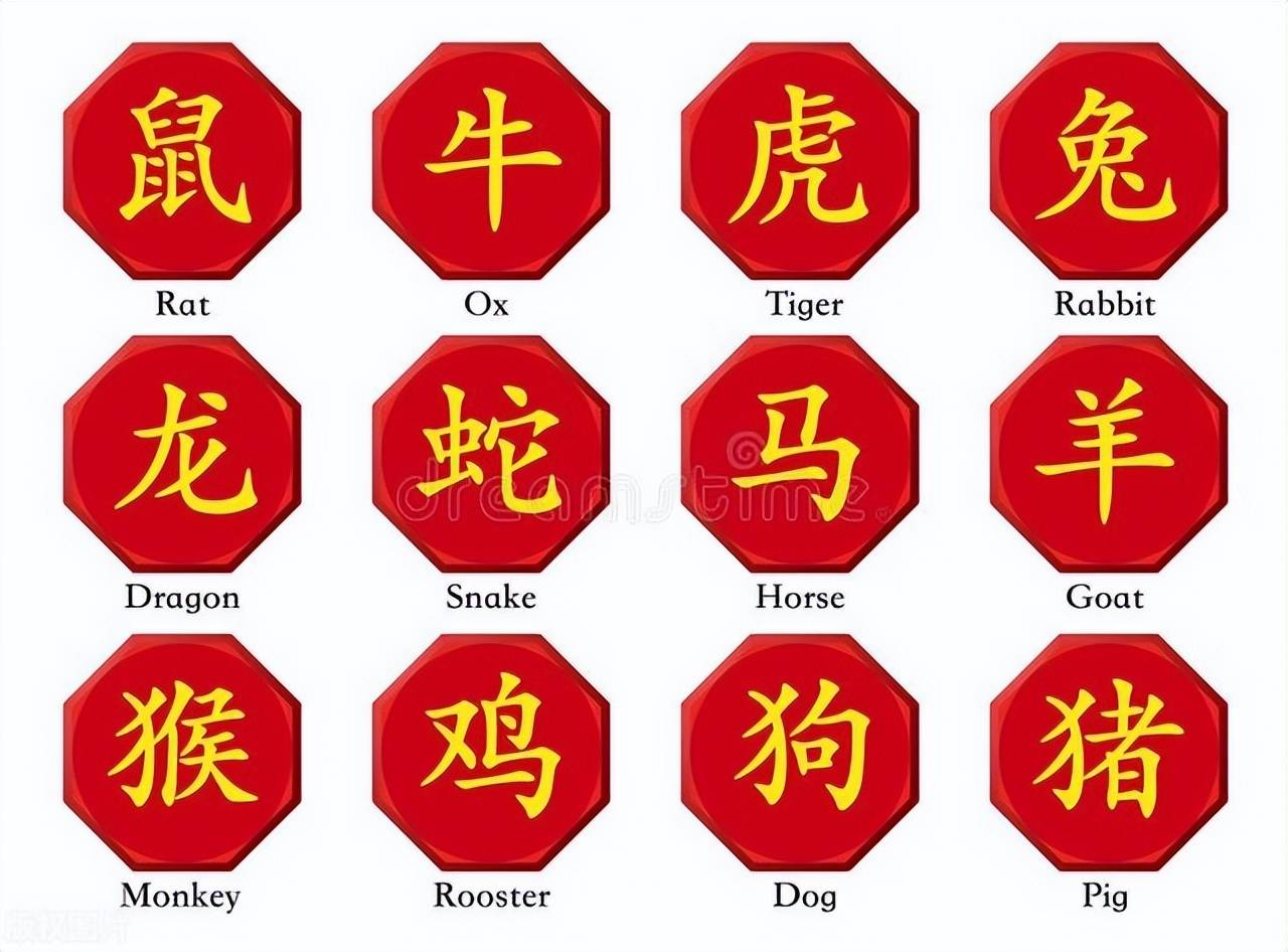 新澳特碼，羊?；⒏鲾?shù)10——揭秘背后的數(shù)字奧秘，揭秘新澳特碼數(shù)字奧秘，羊?；⒏鲾?shù)背后的秘密