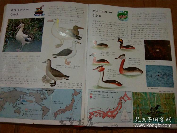 今日正版跑狗圖分享，探索7777788888跑狗圖的魅力，今日正版跑狗圖分享，探索魅力十足的777778跑狗圖