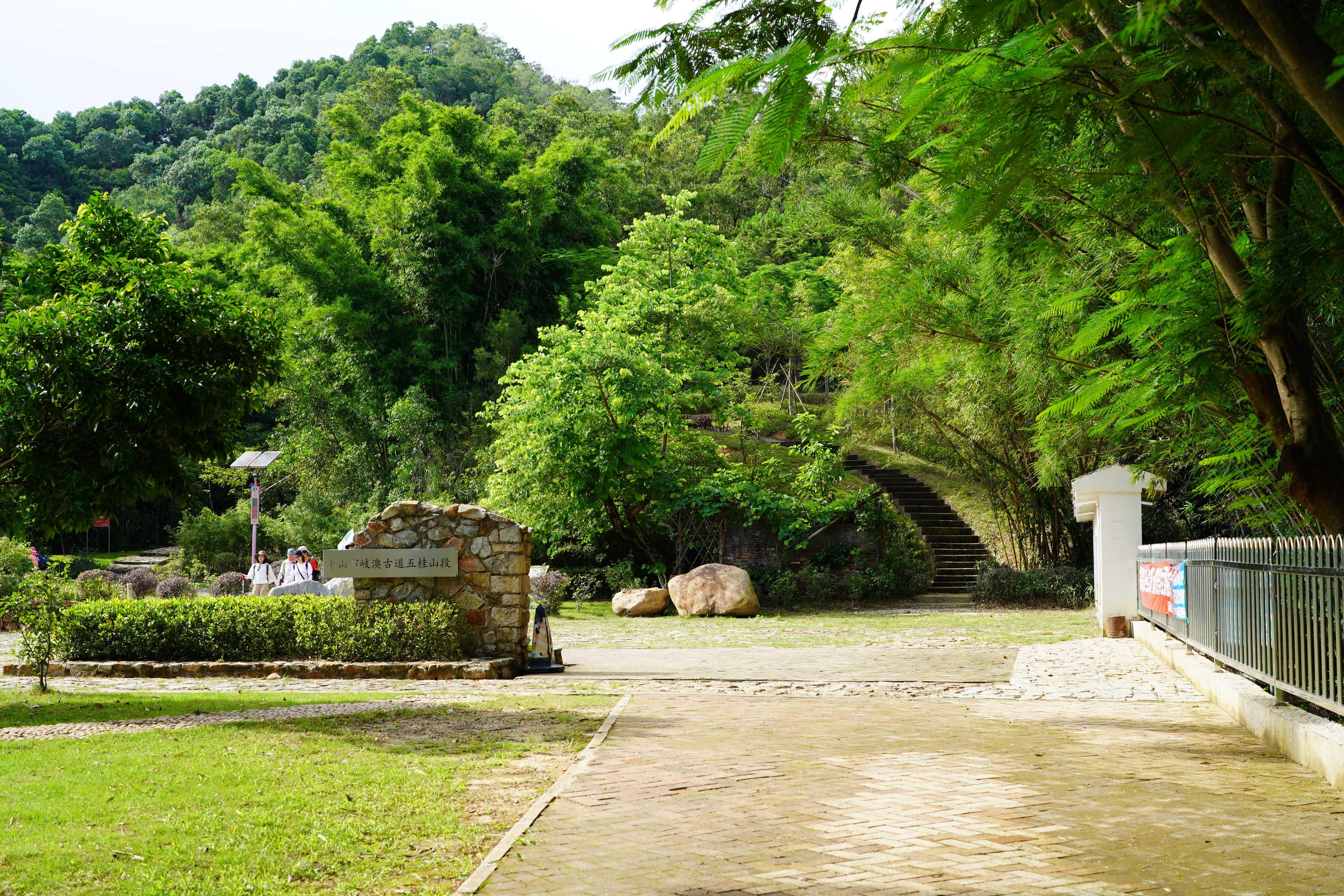 新澳門彩生肖走勢圖，探索與解讀彩票背后的秘密，探索解讀新澳門彩生肖走勢圖，彩票背后的秘密揭秘