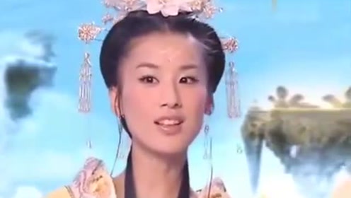曾道道人資料免費(fèi)大全，深度探索與解析，曾道道人資料深度解析與免費(fèi)大全探索