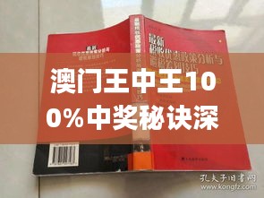 新澳門王中王期期中，探索與解析，新澳門王中王期期中，深度探索與解析