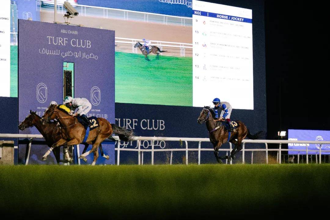 澳門特馬今晚開獎一，探索彩票背后的秘密與期待，澳門特馬今晚開獎，揭秘彩票背后的秘密與期待大獎的激動心情
