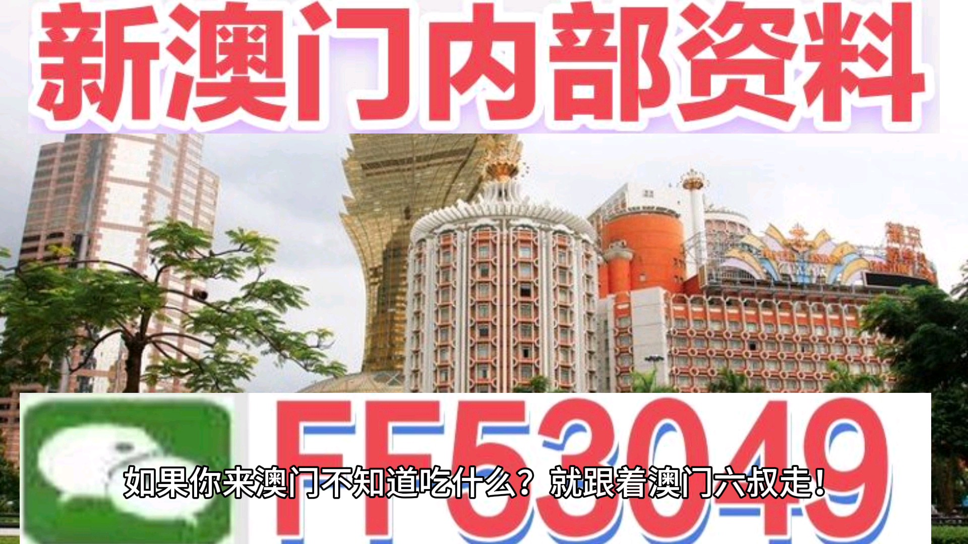 澳門今晚特馬生肖預測，探尋未來的幸運符號（2025年），澳門生肖預測揭秘，探尋未來幸運符號（特馬生肖預測 2025年展望）