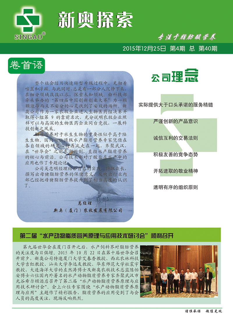2025新澳正版資料查詢指南，2025新澳正版資料查詢手冊(cè)