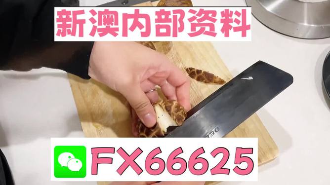 澳門九點半9點半網(wǎng)站——探索其魅力與優(yōu)勢，澳門九點半網(wǎng)站，魅力與優(yōu)勢探索