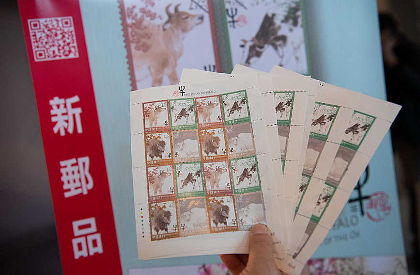 澳門值日生肖600圖庫(kù)與八百圖庫(kù)開獎(jiǎng)，探索生肖圖庫(kù)的魅力與奧秘，澳門生肖圖庫(kù)開獎(jiǎng)揭秘，探索值日生肖600圖庫(kù)與八百圖庫(kù)的魅力與奧秘