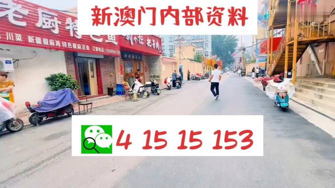 探索未來，新澳門天天開好彩的2025展望，未來展望，新澳門2025年天天彩彩紛呈的探索之路