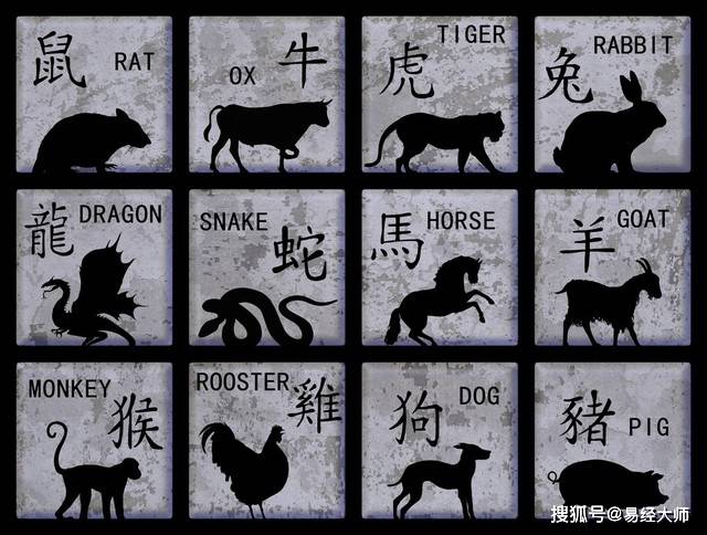 新澳特碼，羊?；⒏鲾?shù)10的獨(dú)特魅力與解析，新澳特碼，羊牛虎各數(shù)10的獨(dú)特魅力深度解析