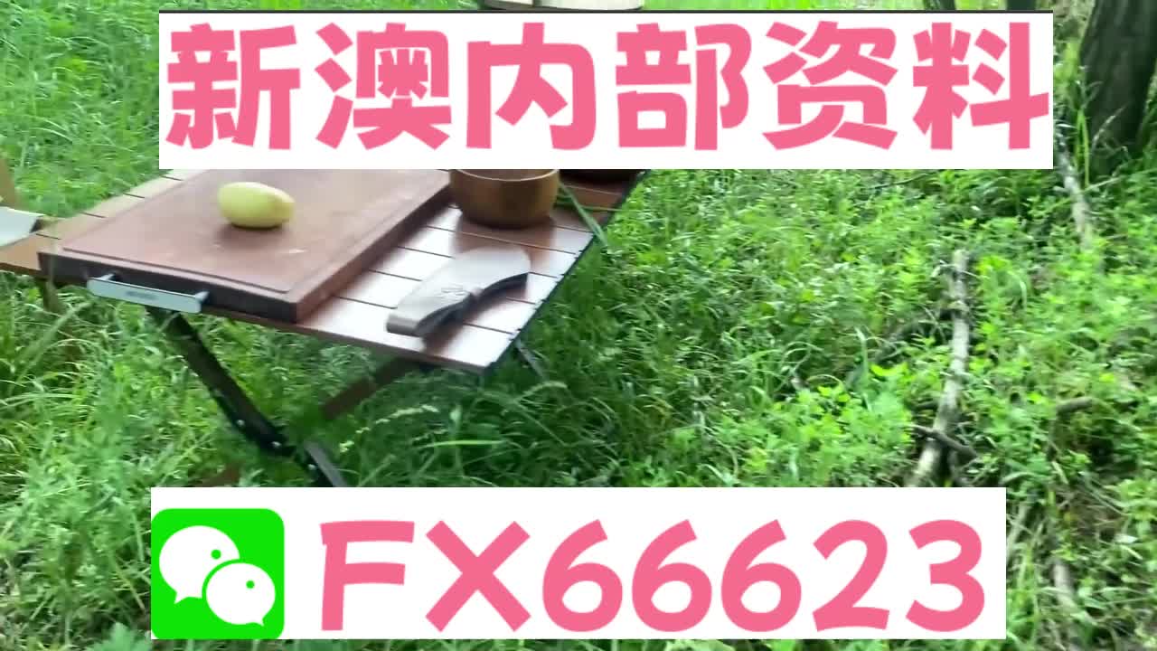新奧特碼走勢圖解析與預(yù)測，新奧特碼走勢圖解析與預(yù)測，未來趨勢探討