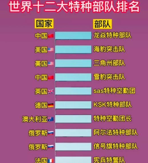 中國十大王牌特種部隊(duì)，實(shí)力與榮耀的象征，中國十大王牌特種部隊(duì)，實(shí)力與榮耀的巔峰標(biāo)志