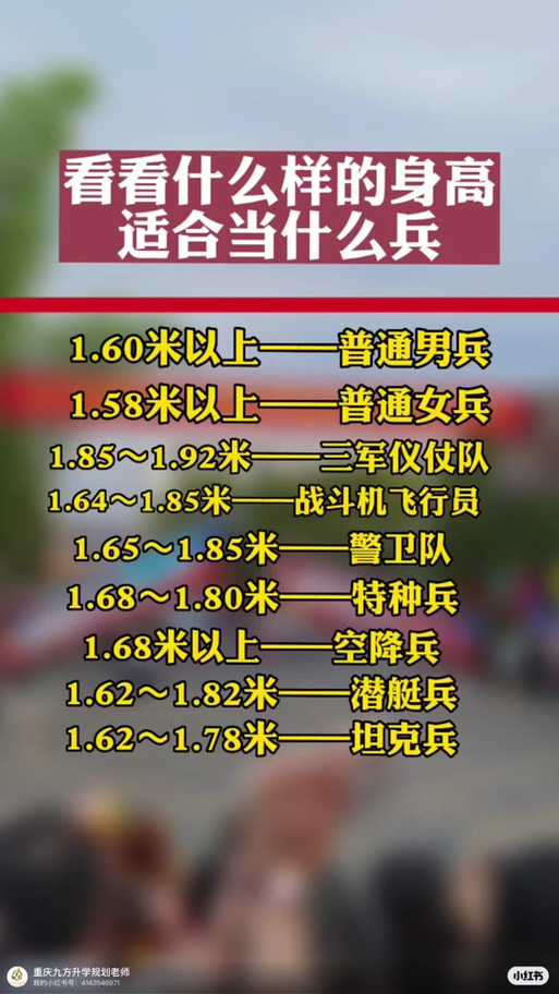 儀仗兵身高標(biāo)準(zhǔn)，探究與解析，儀仗兵身高標(biāo)準(zhǔn)，探究與詳解