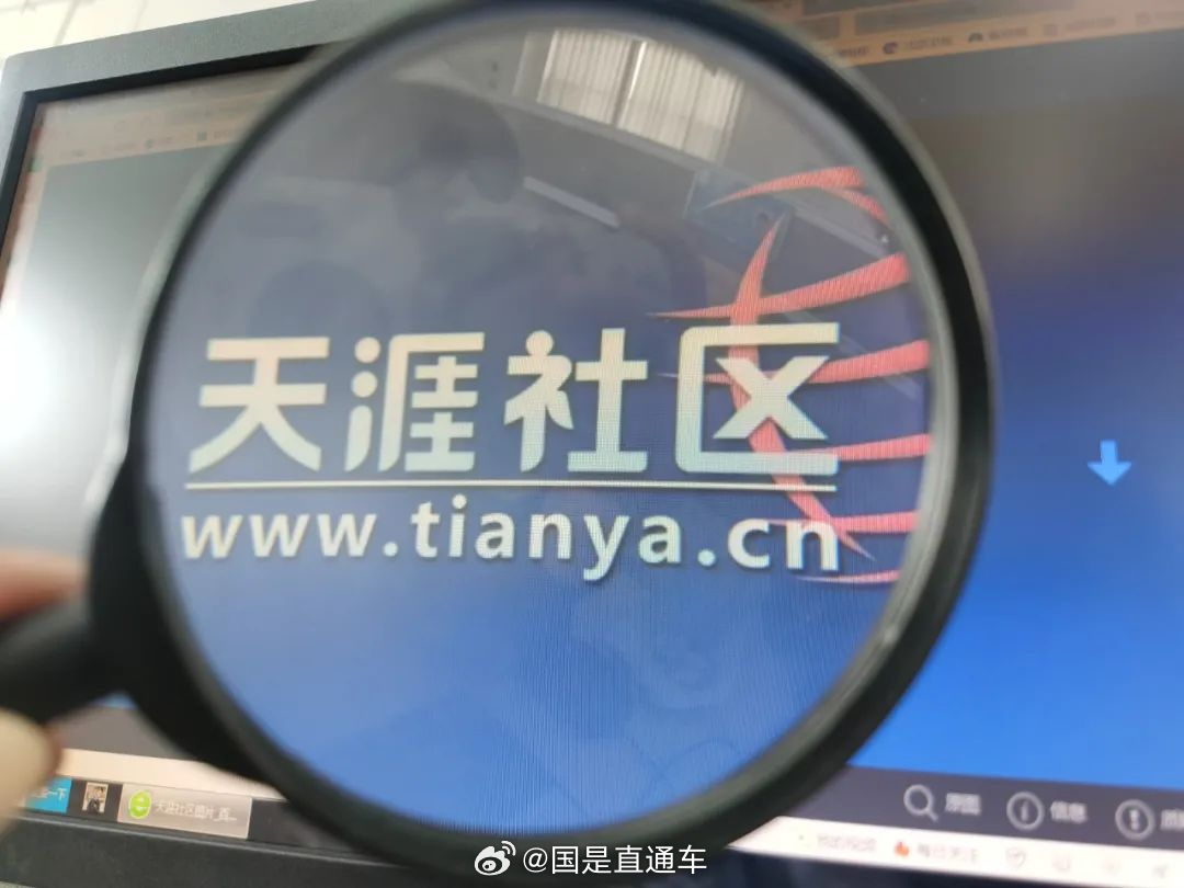 天涯國際觀察，全球視野下的深度分析與洞察，全球深度洞察，天涯國際觀察分析
