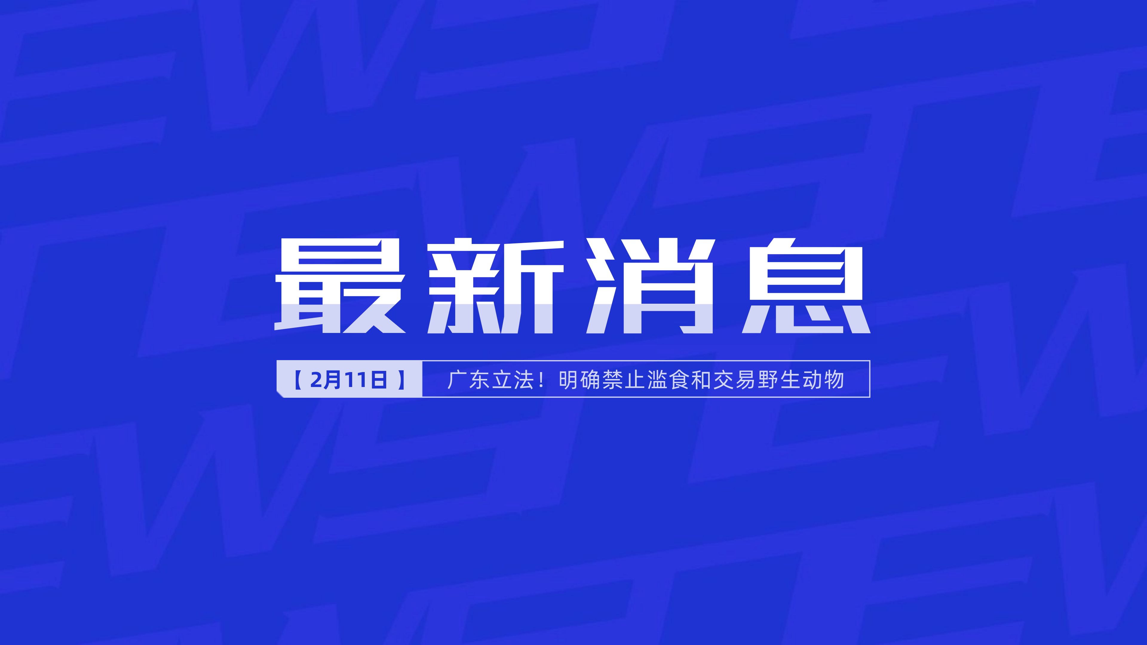 澳門 第284頁