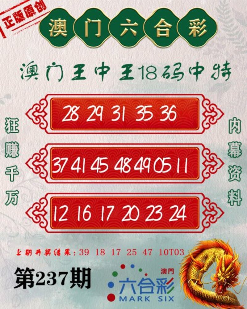 新澳門王中王期期中，探索與解析，新澳門王中王期期中，深度探索與解析