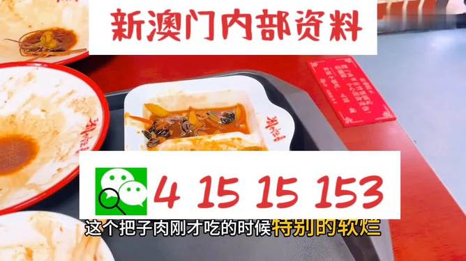 澳門王中王六碼新澳門，探索與解析，澳門王中王六碼新澳門，深度探索與解析