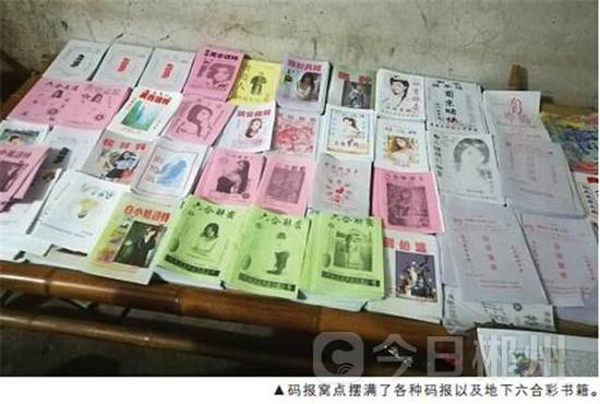 揭秘六肖期期中特期期期準(zhǔn)的奧秘，全面解析與策略分享，揭秘六肖期期中的奧秘，全面解析與策略分享