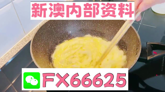 澳門九點半9點半網(wǎng)站——探索與體驗，澳門九點半網(wǎng)站，探索與體驗之旅