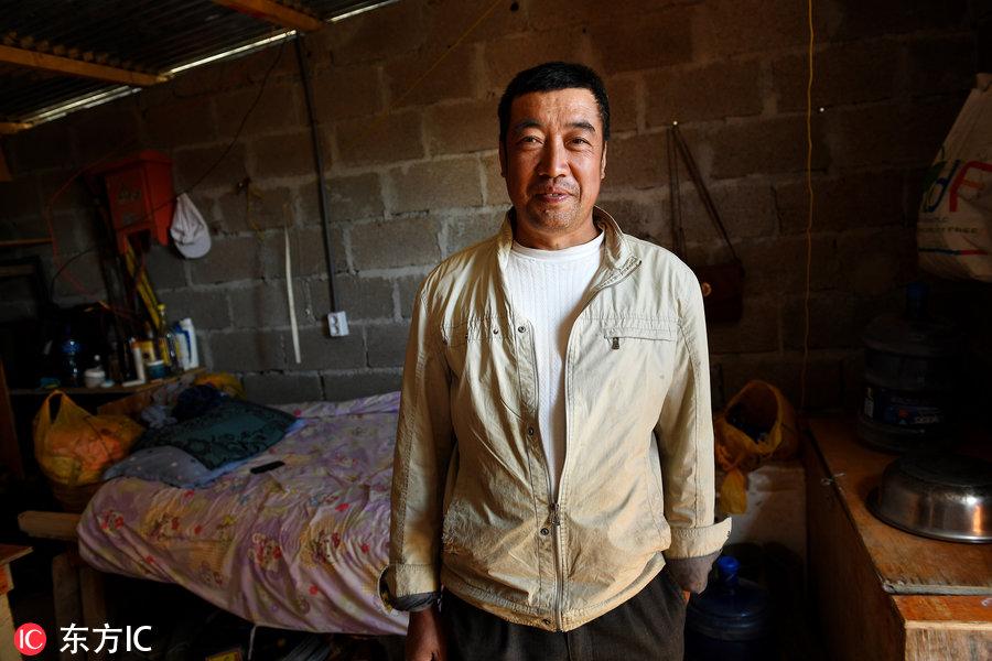 博科圣地組織，深度解析與理解，博科圣地組織深度解析與探究