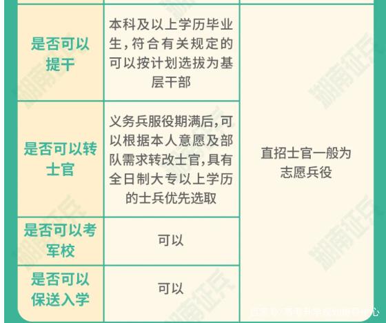 士官直招與義務(wù)兵的區(qū)別，深入了解軍隊招募制度，直招士官與義務(wù)兵招募制度深度解析，軍隊招募制度詳解