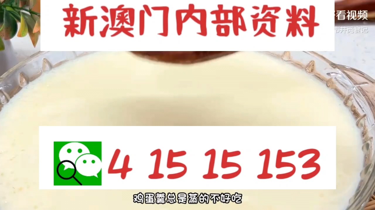 新澳門(mén)中特網(wǎng)中特馬，探索與解析，澳門(mén)中特馬探索與解析指南