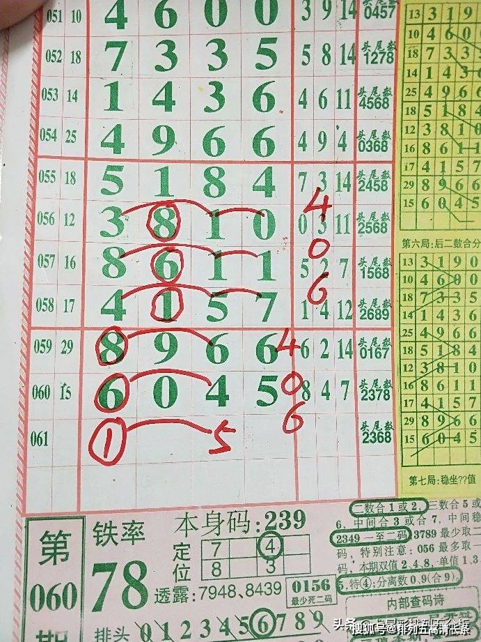 平特肖推算法，探索搜索引擎優(yōu)化的新境界，平特肖推算法，開啟搜索引擎優(yōu)化新境界的探索之旅