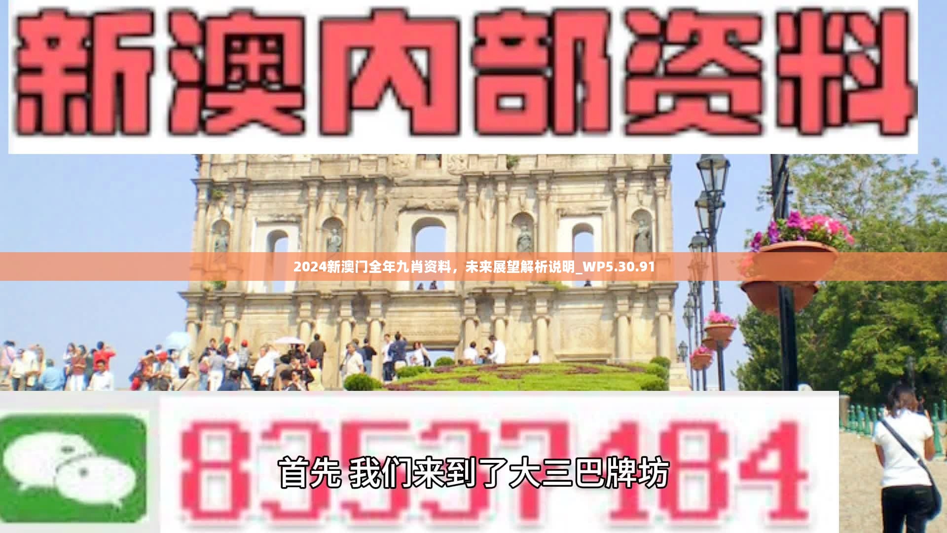 新澳門精準九肖，揭秘預測技巧與策略，揭秘新澳門精準九肖預測技巧與策略