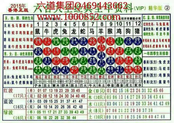 揭秘2024十二生肖49碼表——完整指南，揭秘十二生肖49碼表全攻略，2024年最新版指南
