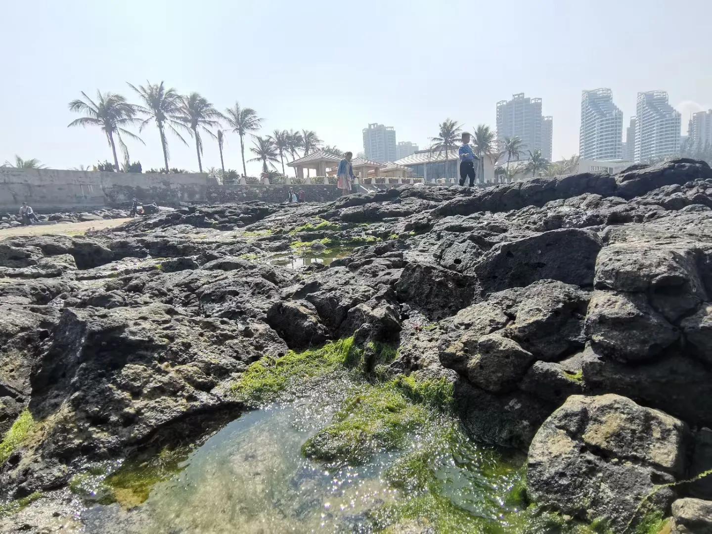 解放海南島電視劇全集下載，探尋30集完整劇情，解放海南島電視劇全集下載，探尋完整的30集劇情探索