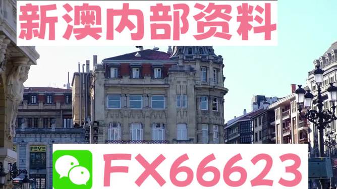 澳門六資料大全，深度探索與揭秘，澳門六資料大全，深度探索與揭秘之旅