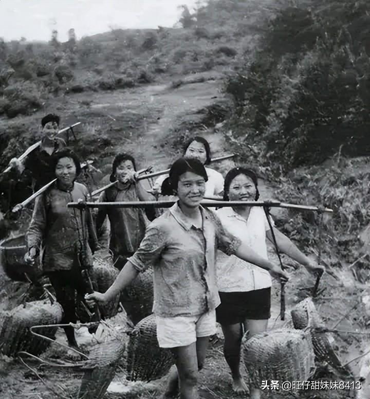 關(guān)于49圖庫圖片資料的專業(yè)解析與探索，49圖庫圖片資料深度解析與探索