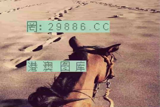 香港特馬資料王中王24期，深度解析與探索，香港特馬資料王中王深度解析與探索，第24期探索之旅