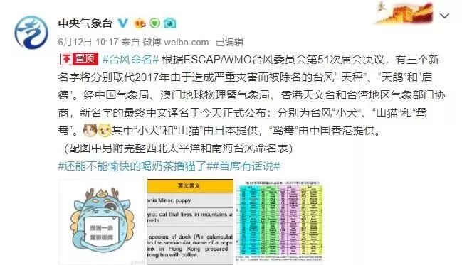 新澳門必中三肖三碼三期必開(kāi)劉伯，揭秘彩票背后的秘密與策略，揭秘彩票背后的秘密與策略，劉伯的新澳門三期必開(kāi)三肖三碼預(yù)測(cè)技巧