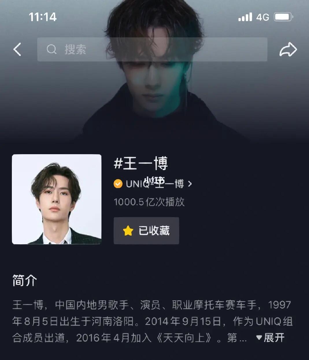 王中王一肖內部資料詳解，王中王一肖內部資料深度解析