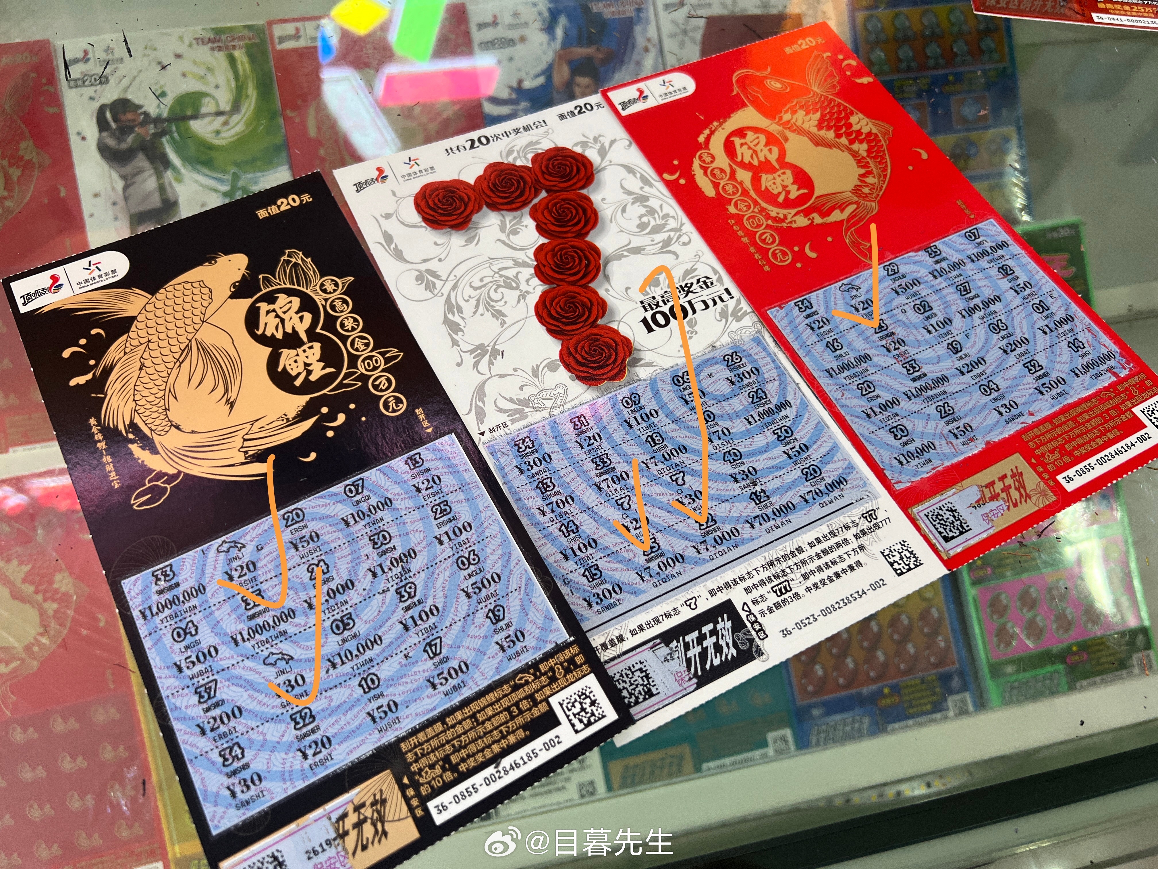 全年王中王一肖中特，深度解析與預(yù)測(cè)，全年王中王一肖深度解析與預(yù)測(cè)，揭秘特肖趨勢(shì)