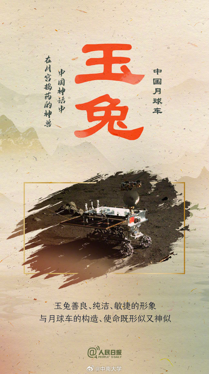 揭秘王中王平特一肖免會(huì)公開(kāi)的奧秘，王中王平特一肖免公開(kāi)揭秘奧秘