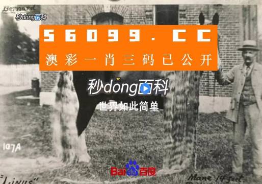 澳門王中王心水王中王，探索與解析，澳門王中王心水奧秘，深度探索與解析