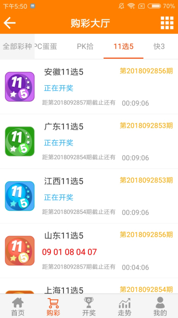 王中王黃金一肖二碼資料，深度解析與SEO優(yōu)化，王中王黃金一肖二碼資料深度解析與SEO優(yōu)化技巧