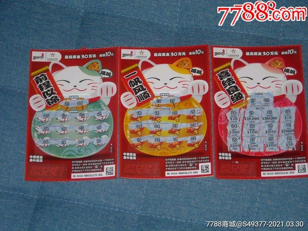 揭秘王中王資料一肖中特y招財貓，真相與秘密，揭秘王中王資料與招財貓，真相與秘密探索
