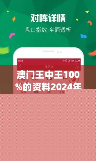 王中王網(wǎng)站一肖，探索與SEO優(yōu)化策略，王中王網(wǎng)站一肖，深度探索與SEO優(yōu)化策略實踐