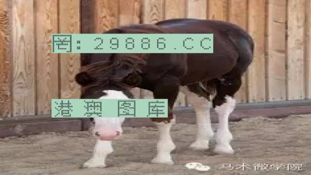 揭秘446999一肖中特馬之秘密，掌握中獎玄機！，揭秘特馬中獎玄機，446999一肖中的秘密大揭秘！